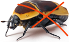 Pest Reject